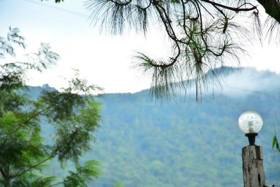 Red Z Cool Mountain Hotell Khao Kho Eksteriør bilde