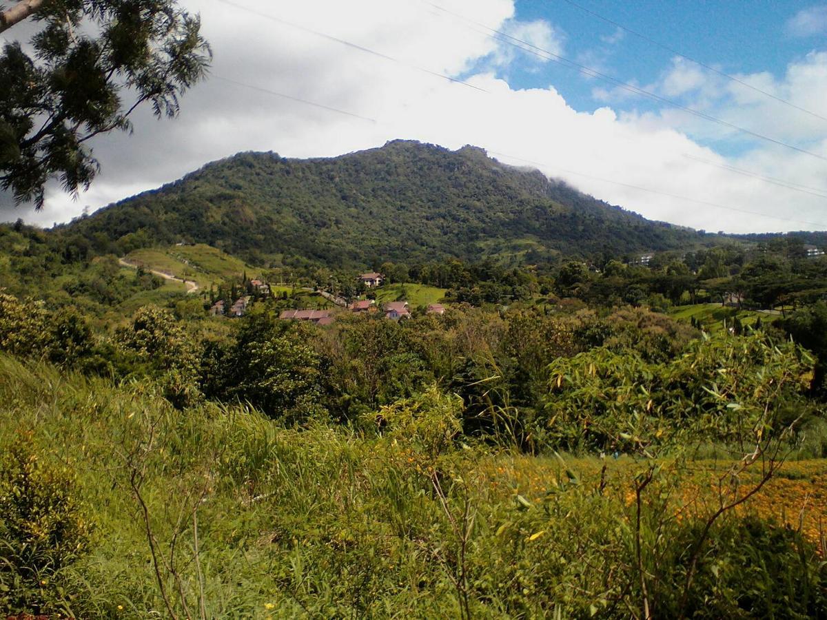 Red Z Cool Mountain Hotell Khao Kho Eksteriør bilde
