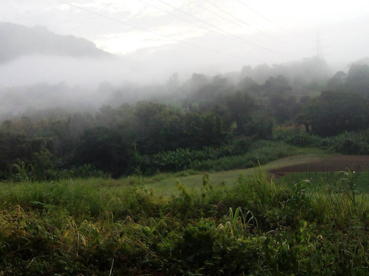 Red Z Cool Mountain Hotell Khao Kho Eksteriør bilde